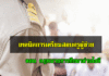เทคนิคการเตรียมสอบครูผู้ช่วย ตอน กฎหมายการศึกษา ข้อสอบกฎหมายการศึกษา