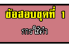 ข้อสอบการคิดวิเคราะห์เชิงภาษา | การใช้คำในภาษาไทย ชุดที่ 1 การใช้คำ,ข้อสอบการวิเคราะห์เชิงภาษา