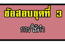 ข้อสอบการคิดวิเคราะห์เชิงภาษา | การใช้คำ ชุดที่ 3 การใช้คำ3