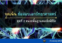 จุดเน้นคำถาม เอกวิทยาศาสตร์ ชุดที่ 2 เรื่อง หน่วยพื้นฐานของสิ่งมีชีวิต สรุปข้อสอบเอกวิทยาศาสตร์ ครูผู้ช่วย สอบครูผุ้ช่วย 2567 ข้อสอบจริง