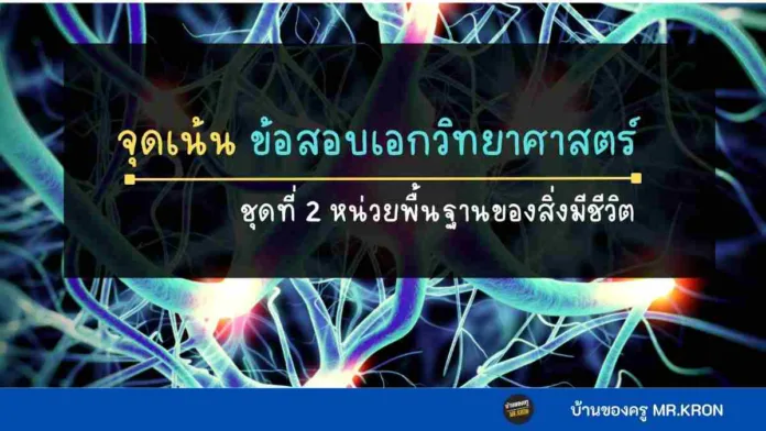 สรุปข้อสอบเอกวิทยาศาสตร์ ครูผู้ช่วย สอบครูผุ้ช่วย 2567 ข้อสอบจริง