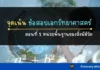 จุดเน้นคำถาม เอกวิทยาศาสตร์ ชุดที่ 1 เรื่อง หน่วยพื้นฐานของสิ่งมีชีวิต สรุปประเด็นข้อสอบ เอกวิทบาศาสตร์ ข้อสอบครูวิทยาศาส
